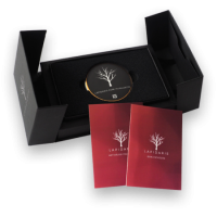 Lapidaris emlékkő Lapidaris emlékkő